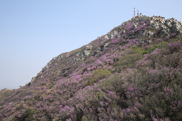 首页- 尊龙集团中国官网入口