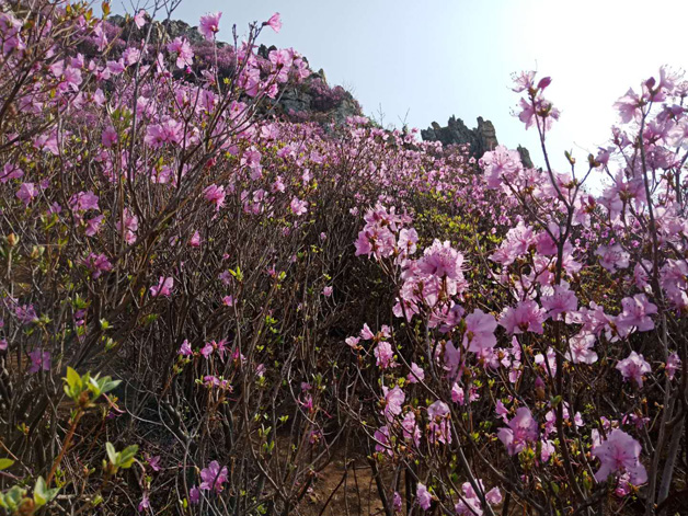 首页- 尊龙集团中国官网入口